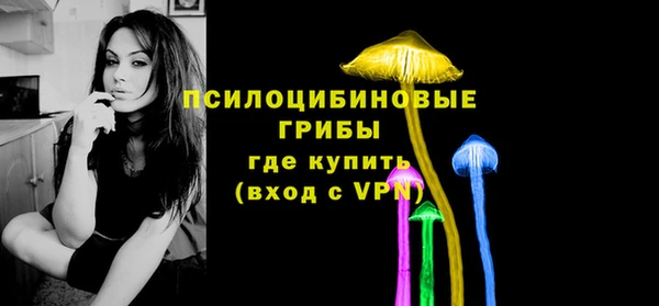 ГАЛЛЮЦИНОГЕННЫЕ ГРИБЫ Алзамай