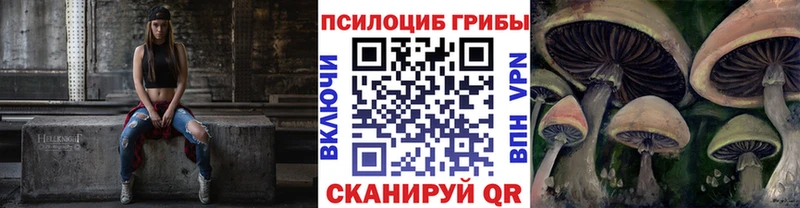 Псилоцибиновые грибы MAGIC MUSHROOMS  ОМГ ОМГ ONION  Калининск  закладка 